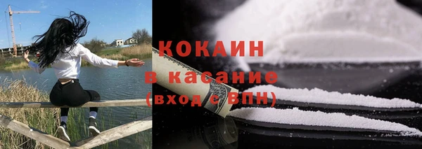 mdpv Вяземский