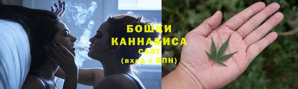 mdpv Вяземский
