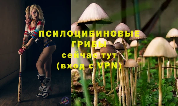 Альфа ПВП Горно-Алтайск