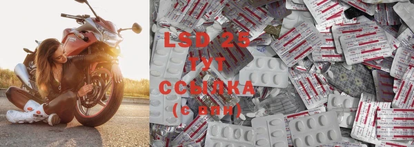 ГАЛЛЮЦИНОГЕННЫЕ ГРИБЫ Горнозаводск