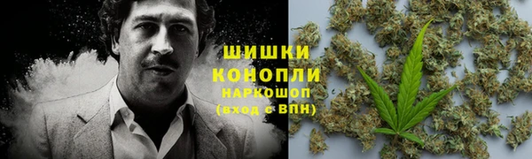 ГАЛЛЮЦИНОГЕННЫЕ ГРИБЫ Горнозаводск