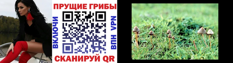 Псилоцибиновые грибы прущие грибы  kraken ONION  Сосенский 